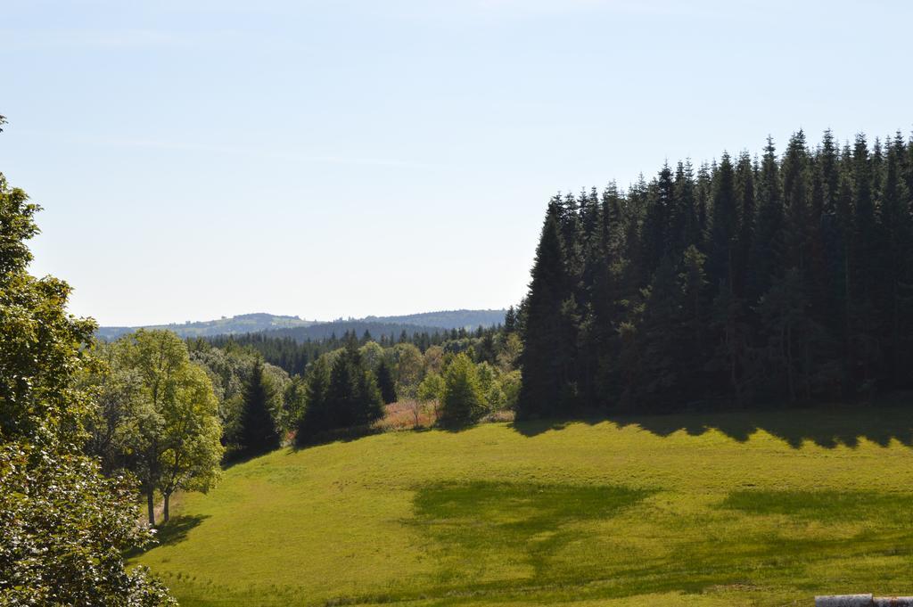 Logis Hotel Le Relais Du Bois Vialotte Le Chambon-sur-Lignon Ngoại thất bức ảnh